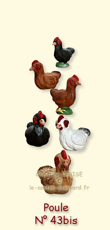 N°43bis Poule